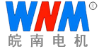 皖南電機(jī)